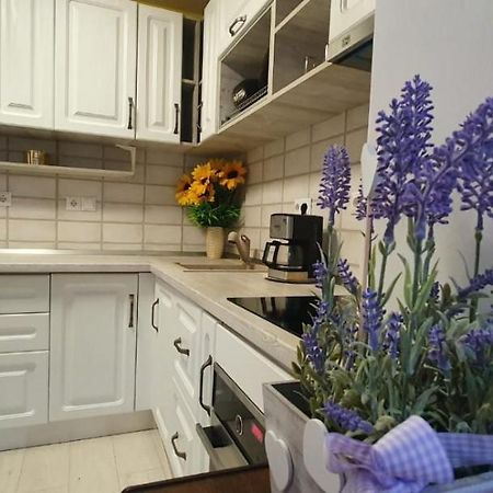 Apartament 3 Camere Spatios 蒂米什瓦拉 外观 照片