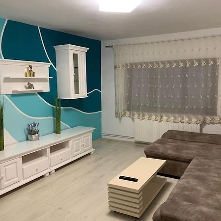 Apartament 3 Camere Spatios 蒂米什瓦拉 外观 照片