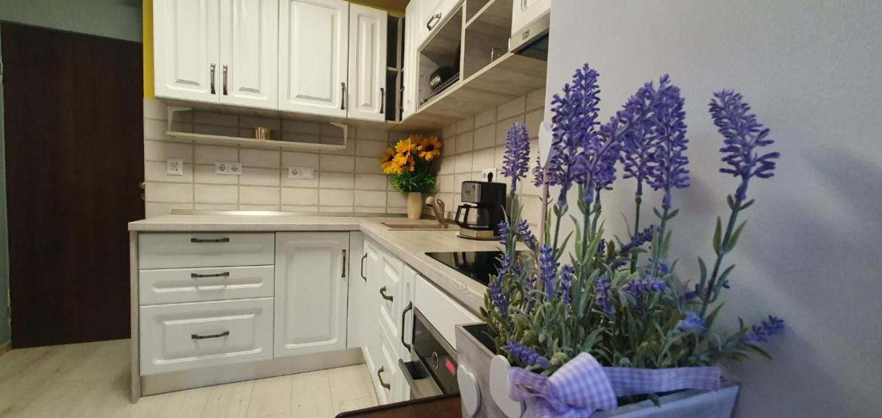 Apartament 3 Camere Spatios 蒂米什瓦拉 外观 照片